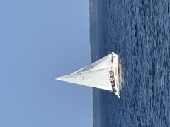 IMG_8249.jpg