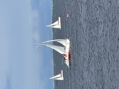 IMG_8353.jpg